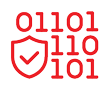 Recall Data Destruction